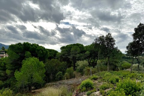 Parcela en venta en Lloret de Mar, Gerona, España 2259 m2 No. 143100 - foto 4