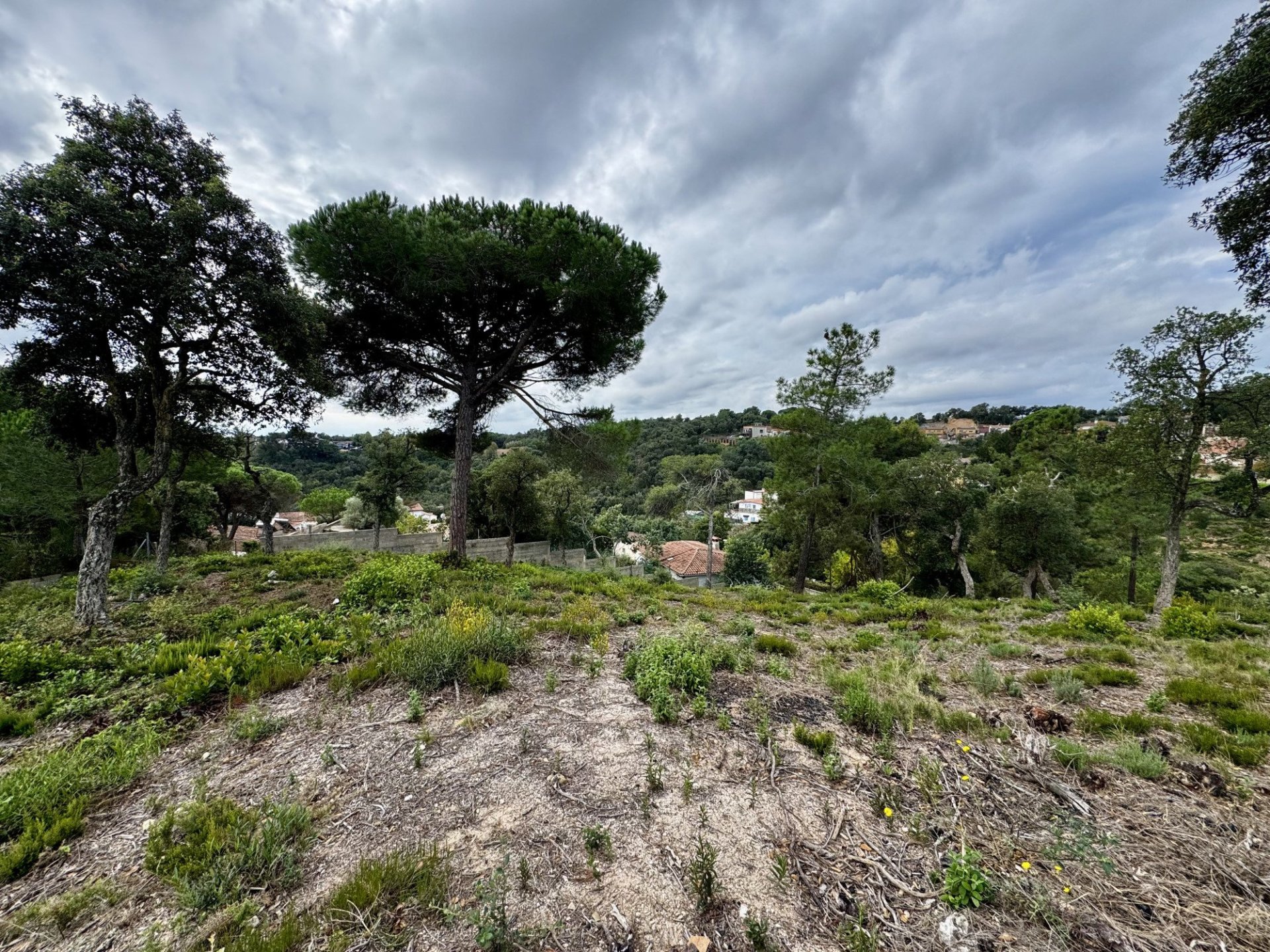 Land in Lloret de Mar, Girona, Spanien 2259 m2 Nr. 143100