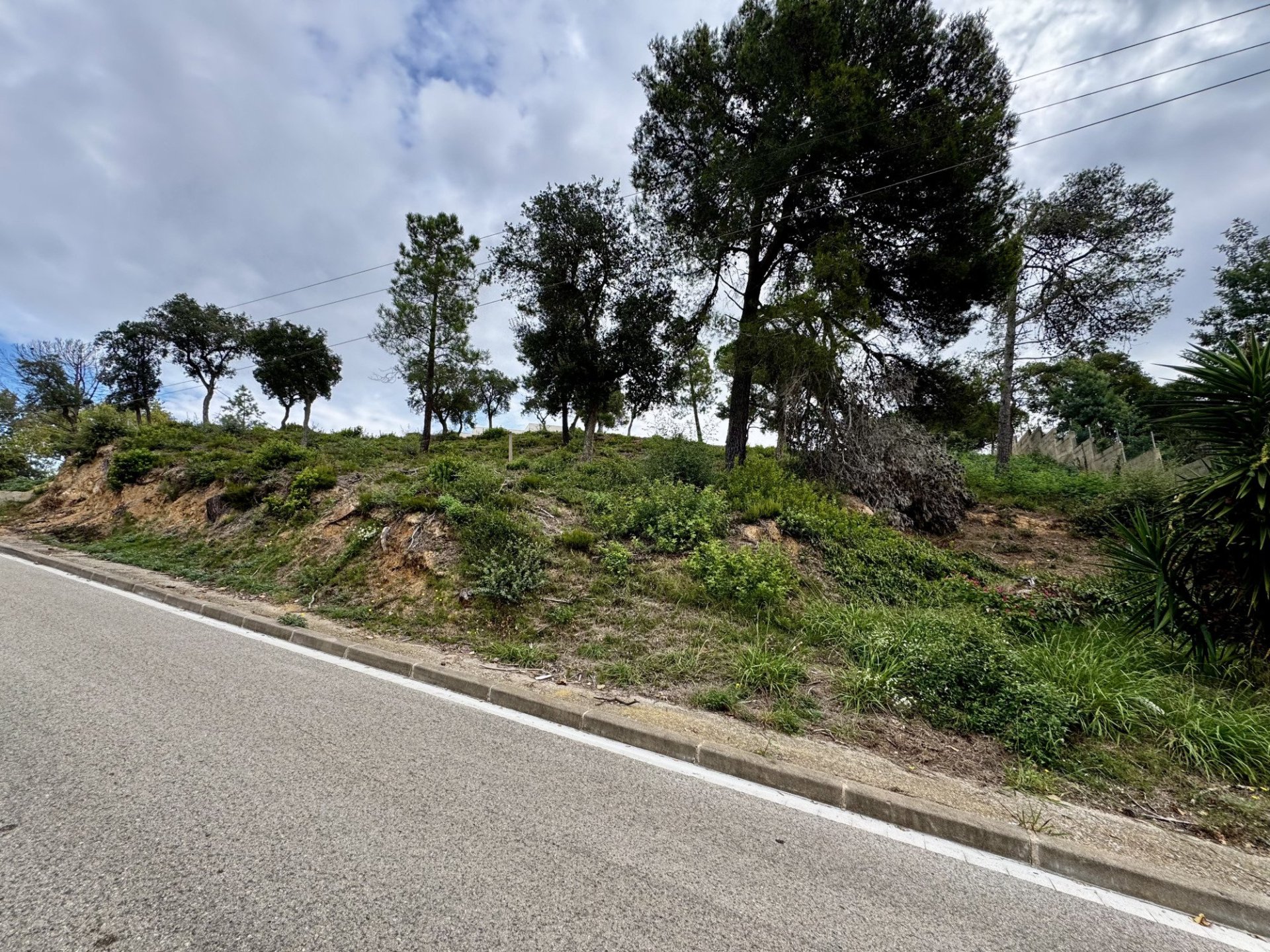 Land in Lloret de Mar, Girona, Spanien 2259 m2 Nr. 143100