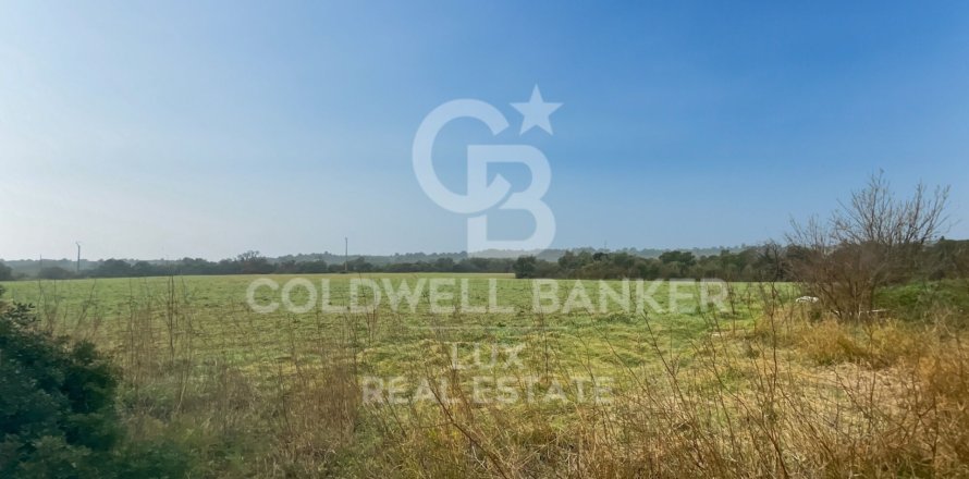 Tontti Peralada, Girona, Espanja 413389 m2 No. 157888