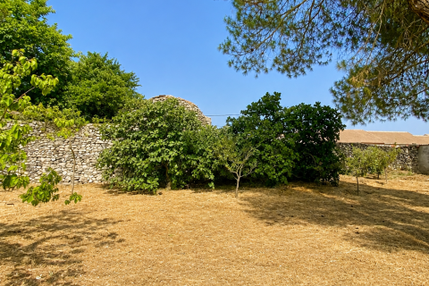 Villa à vendre à Olombrada, Segovia, Espagne, 5 chambres, 77 m2 No. 195118 - photo 28