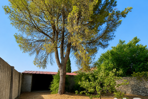 Villa à vendre à Olombrada, Segovia, Espagne, 5 chambres, 77 m2 No. 195118 - photo 30