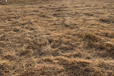 Land plot à vendre à Valdevimbre, Leon, Espagne, 2901 m2 No. 195122 - photo 3