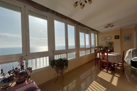 Apartament Torrevieja, Alicante, Hiszpania 3 sypialnie, 118 mkw. nr 113165 – zdjęcie 8