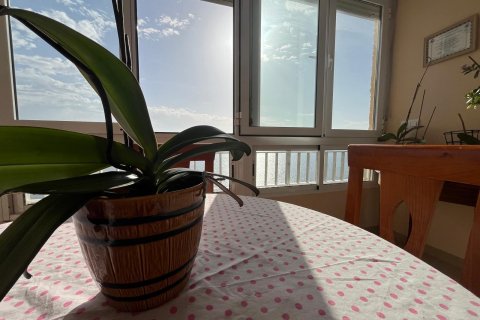 Apartament Torrevieja, Alicante, Hiszpania 3 sypialnie, 118 mkw. nr 113165 – zdjęcie 5