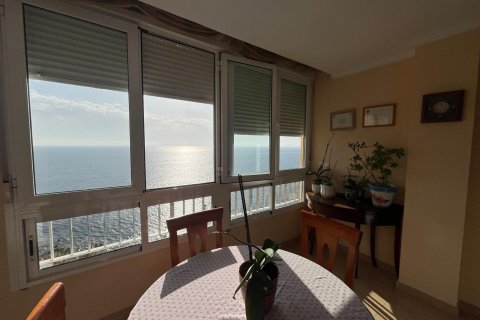 Apartament Torrevieja, Alicante, Hiszpania 3 sypialnie, 118 mkw. nr 113165 – zdjęcie 16