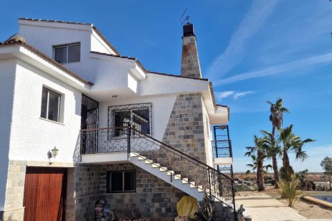 Villa zum Verkauf Cieza, Murcia, Spanien 6 Schlafzimmer, 385 m2 Nr. 113198 - Foto 13