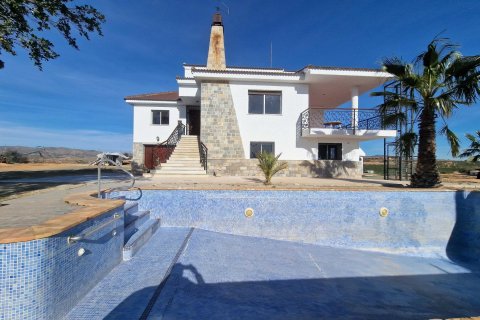 Villa zum Verkauf Cieza, Murcia, Spanien 6 Schlafzimmer, 385 m2 Nr. 113198 - Foto 11