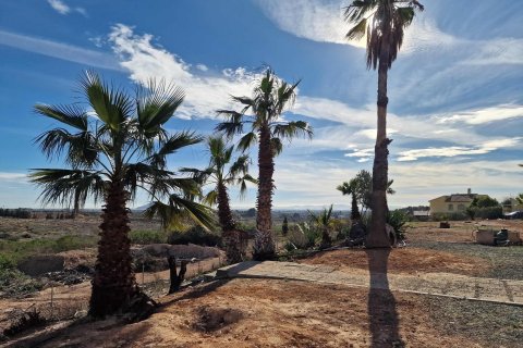 Villa zum Verkauf Cieza, Murcia, Spanien 6 Schlafzimmer, 385 m2 Nr. 113198 - Foto 8
