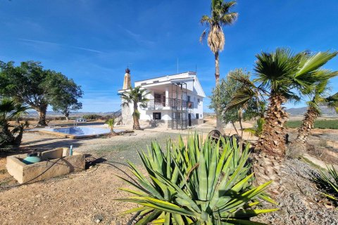 Villa zum Verkauf Cieza, Murcia, Spanien 6 Schlafzimmer, 385 m2 Nr. 113198 - Foto 7