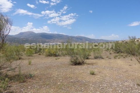 Land plot à vendre à Tijola, Almeria, EspagneNo. 184062 - photo 2