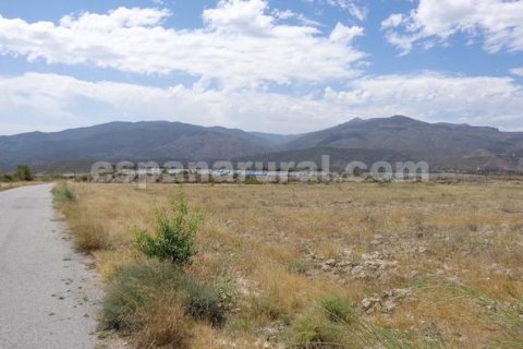 Land plot à vendre à Tijola, Almeria, EspagneNo. 184062 - photo 3