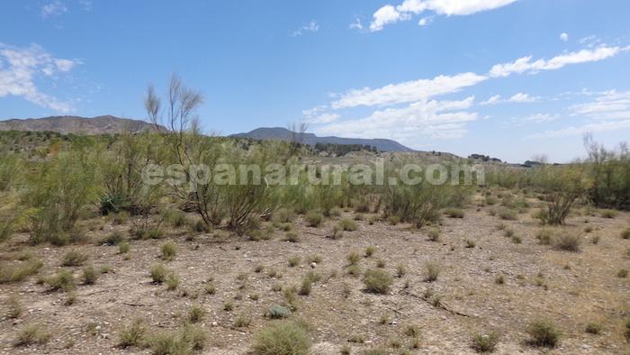 Land plot à Tijola, Almeria, Espagne No. 184062