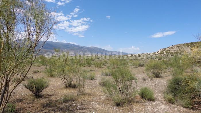 Land plot à Tijola, Almeria, Espagne No. 184062