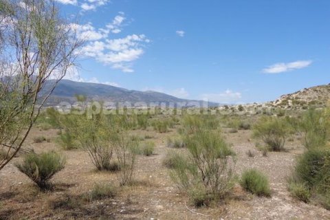 Land plot à vendre à Tijola, Almeria, EspagneNo. 184062 - photo 6