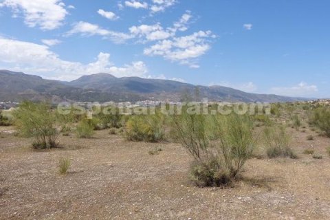 Land plot à vendre à Tijola, Almeria, EspagneNo. 184062 - photo 4