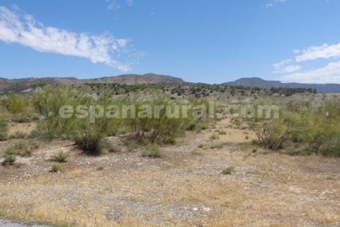 Land plot in Tijola, Almeria, Spain No. 184062