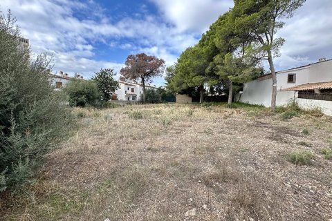 Działka w Palmanova, Mallorca, Hiszpania 400 mkw. nr 148130 – zdjęcie 3