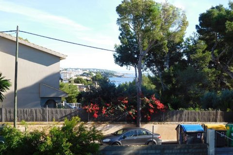 Działka w Palmanova, Mallorca, Hiszpania 400 mkw. nr 148130 – zdjęcie 5