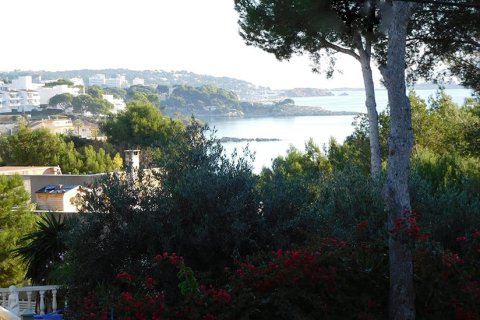 Działka w Palmanova, Mallorca, Hiszpania 400 mkw. nr 148130 – zdjęcie 8