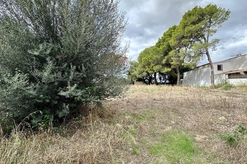 Działka w Palmanova, Mallorca, Hiszpania 400 mkw. nr 148130 – zdjęcie 2