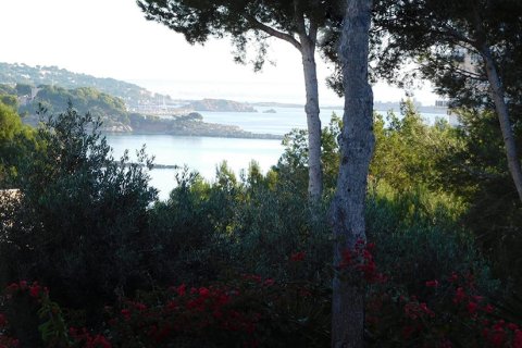 Działka w Palmanova, Mallorca, Hiszpania 400 mkw. nr 148130 – zdjęcie 7