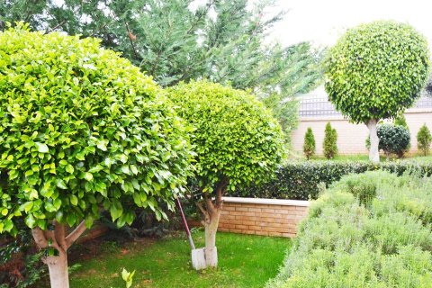 Villa for sale in Santa Ponsa, Mallorca, Spain 4 bedrooms, 400 sq.m. No. 148128 - photo 21