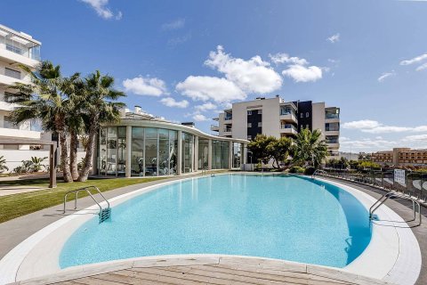 Apartment à vendre à Los Dolses, Alicante, Espagne, 3 chambres, 72 m2 No. 194569 - photo 9