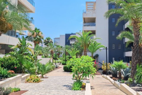 Apartment à vendre à Los Dolses, Alicante, Espagne, 3 chambres, 72 m2 No. 194569 - photo 16