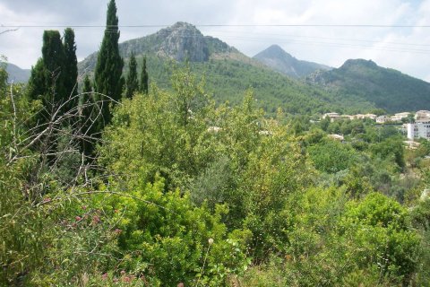 Terreno a Orba, Alicante, Spagna N° 183958