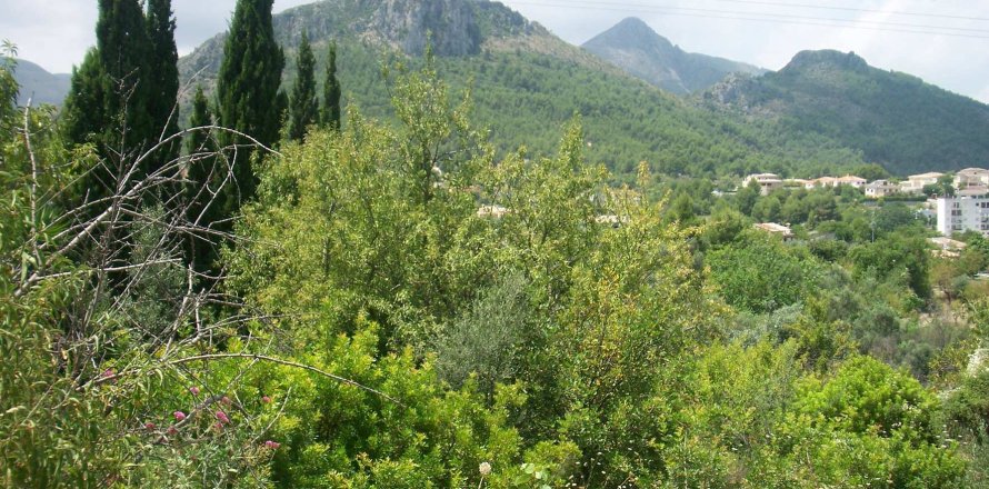 Land in Orba, Alicante, Spanien Nr. 183958
