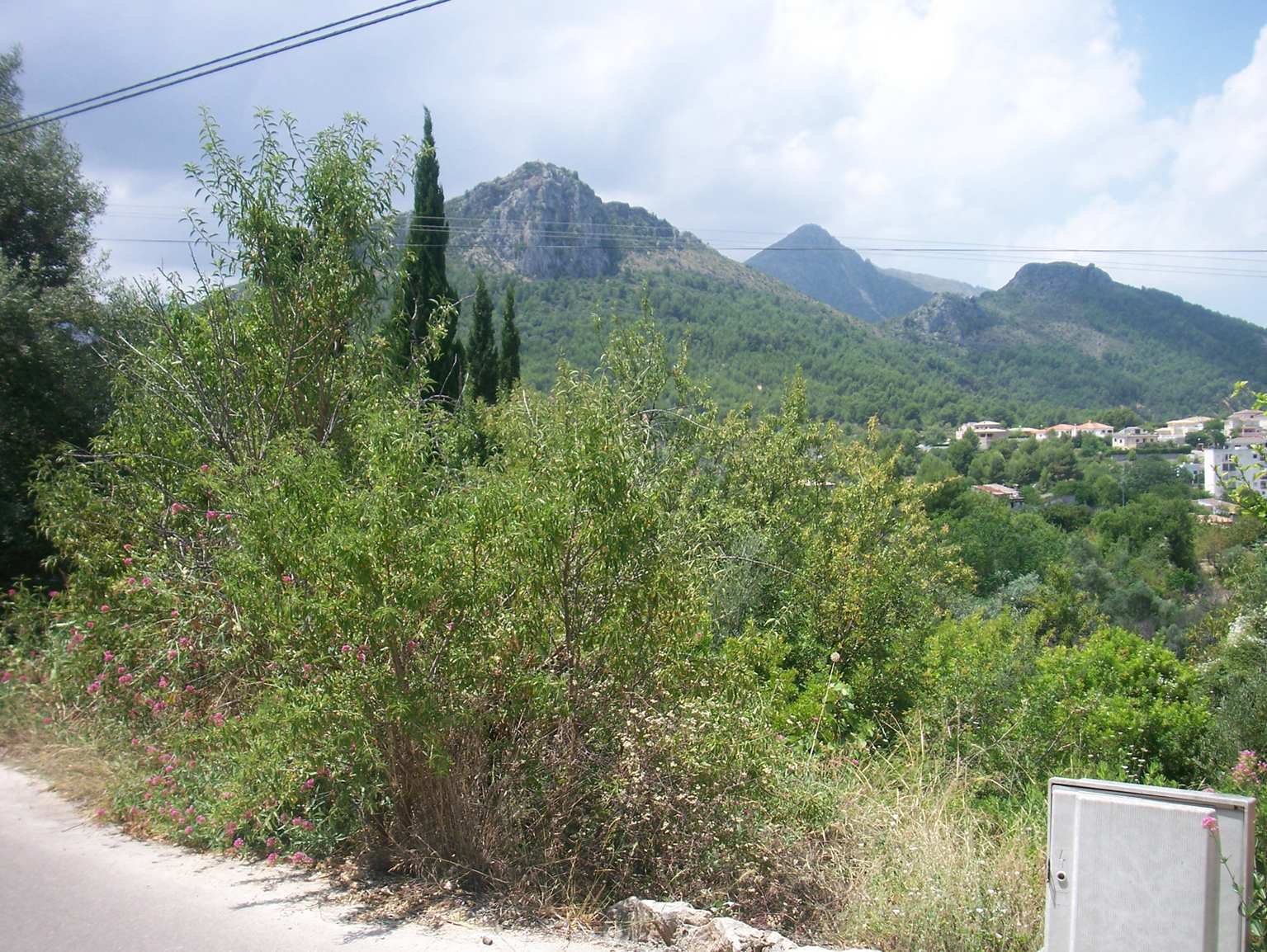 Land plot à Orba, Alicante, Espagne No. 183958