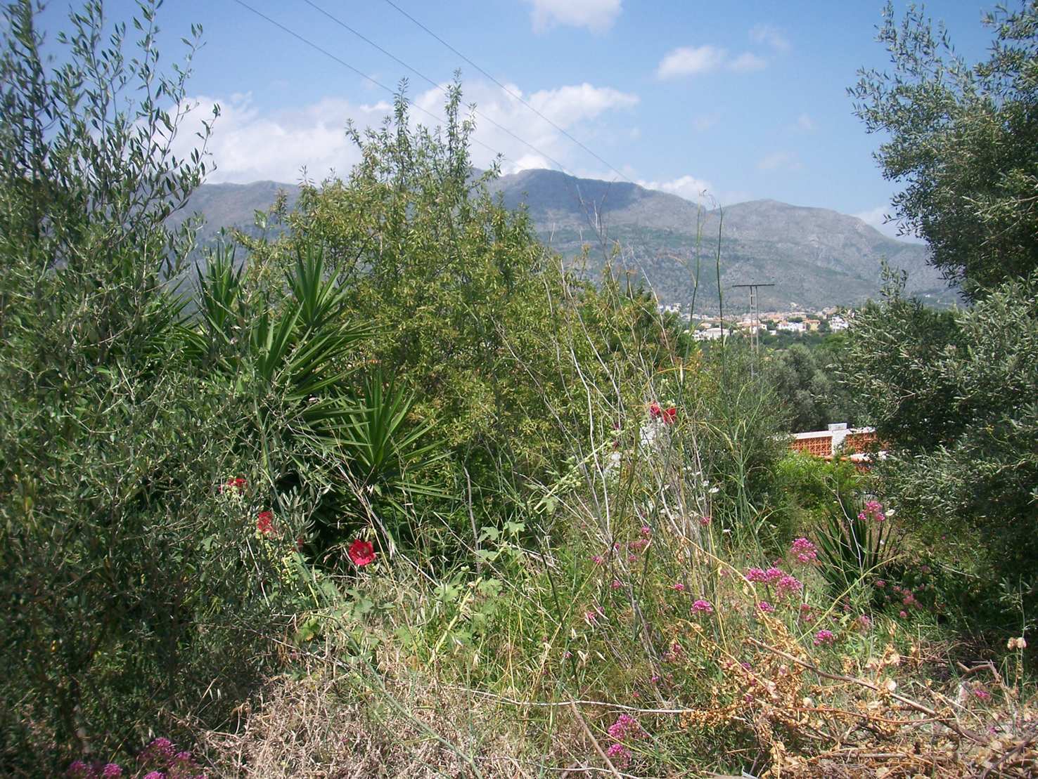 Land plot à Orba, Alicante, Espagne No. 183958