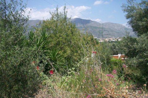 Land zum Verkauf in Orba, Alicante, Spanien Nr. 183958 - Foto 5