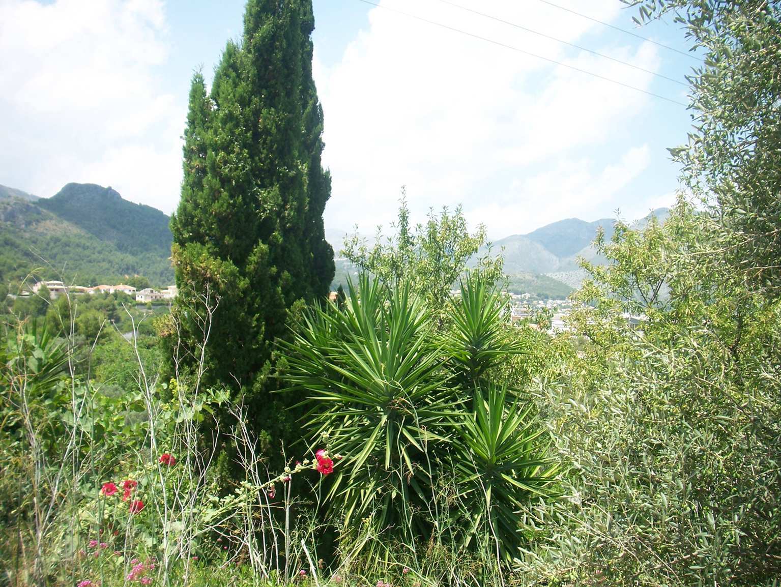 Land plot à Orba, Alicante, Espagne No. 183958