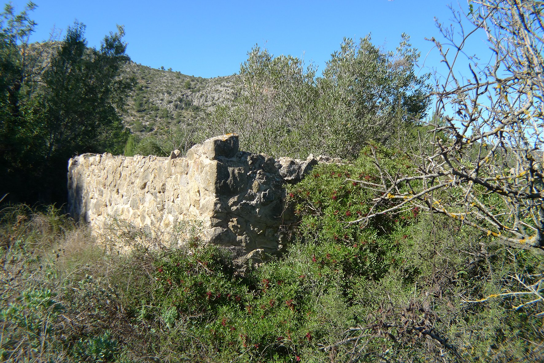 Land plot à Jalon, Alicante, Espagne No. 183954