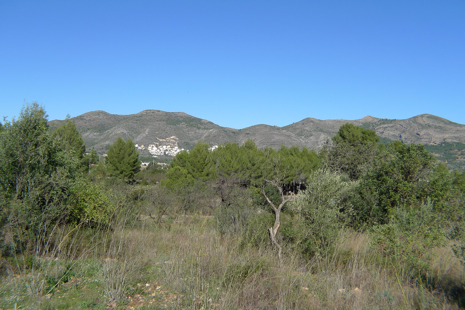Land plot à Jalon, Alicante, Espagne No. 183954