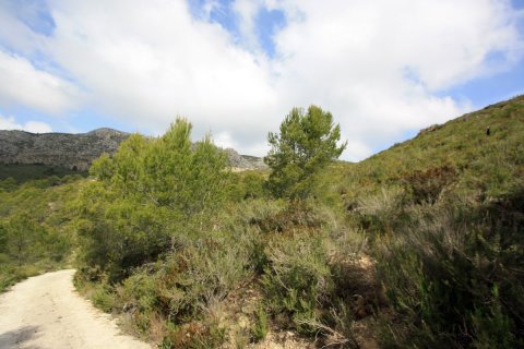 Land zum Verkauf in Pedreguer, Alicante, Spanien Nr. 183953 - Foto 4