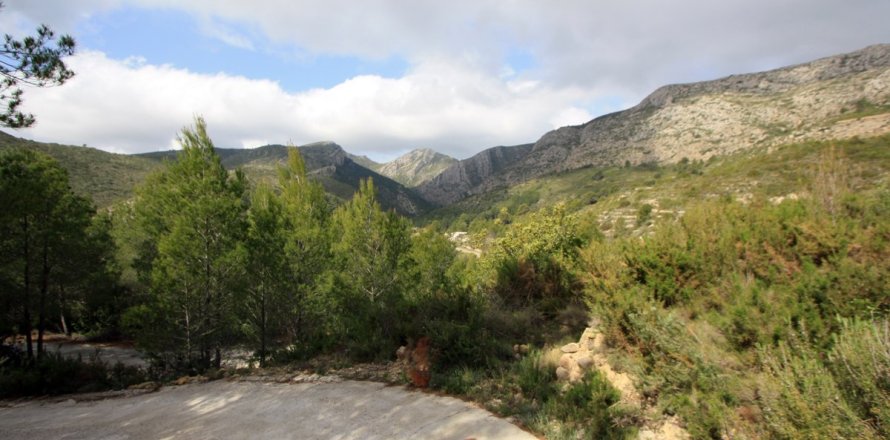 Land in Pedreguer, Alicante, Spanien Nr. 183953