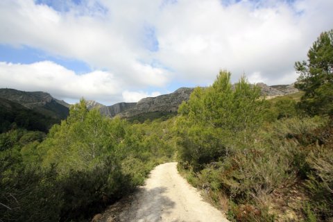 Land zum Verkauf in Pedreguer, Alicante, Spanien Nr. 183953 - Foto 3