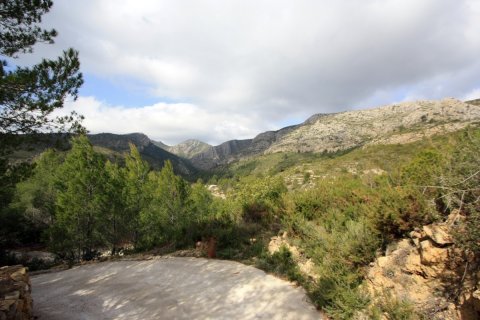 Land zum Verkauf in Pedreguer, Alicante, Spanien Nr. 183953 - Foto 7