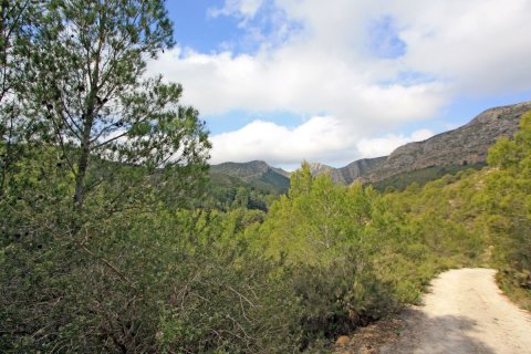 Land zum Verkauf in Pedreguer, Alicante, Spanien Nr. 183953 - Foto 5