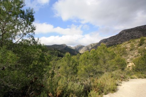 Land zum Verkauf in Pedreguer, Alicante, Spanien Nr. 183953 - Foto 6