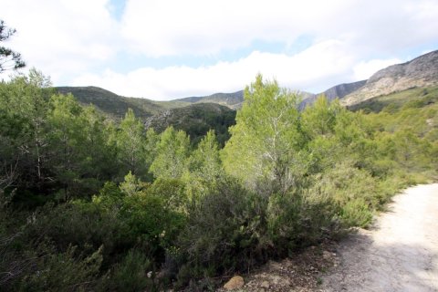 Land zum Verkauf in Pedreguer, Alicante, Spanien Nr. 183953 - Foto 2