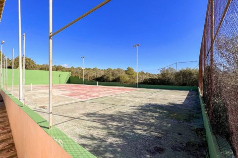 Villa zum Verkauf in Mallorca, Spanien 6 Schlafzimmer, 700 m2 Nr. 154999 - Foto 19