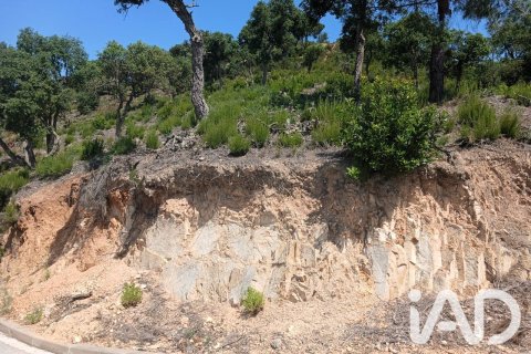 Tomt till salu i Lloret de Mar, Girona, Spanien 1270 kvm. Nr. 194353 - foto 9