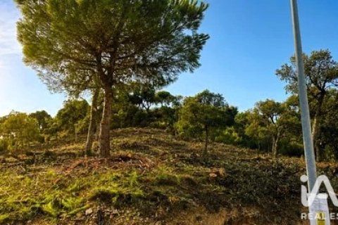 Tomt i Lloret de Mar, Girona, Spanien 1270 kvm. Nr. 194353