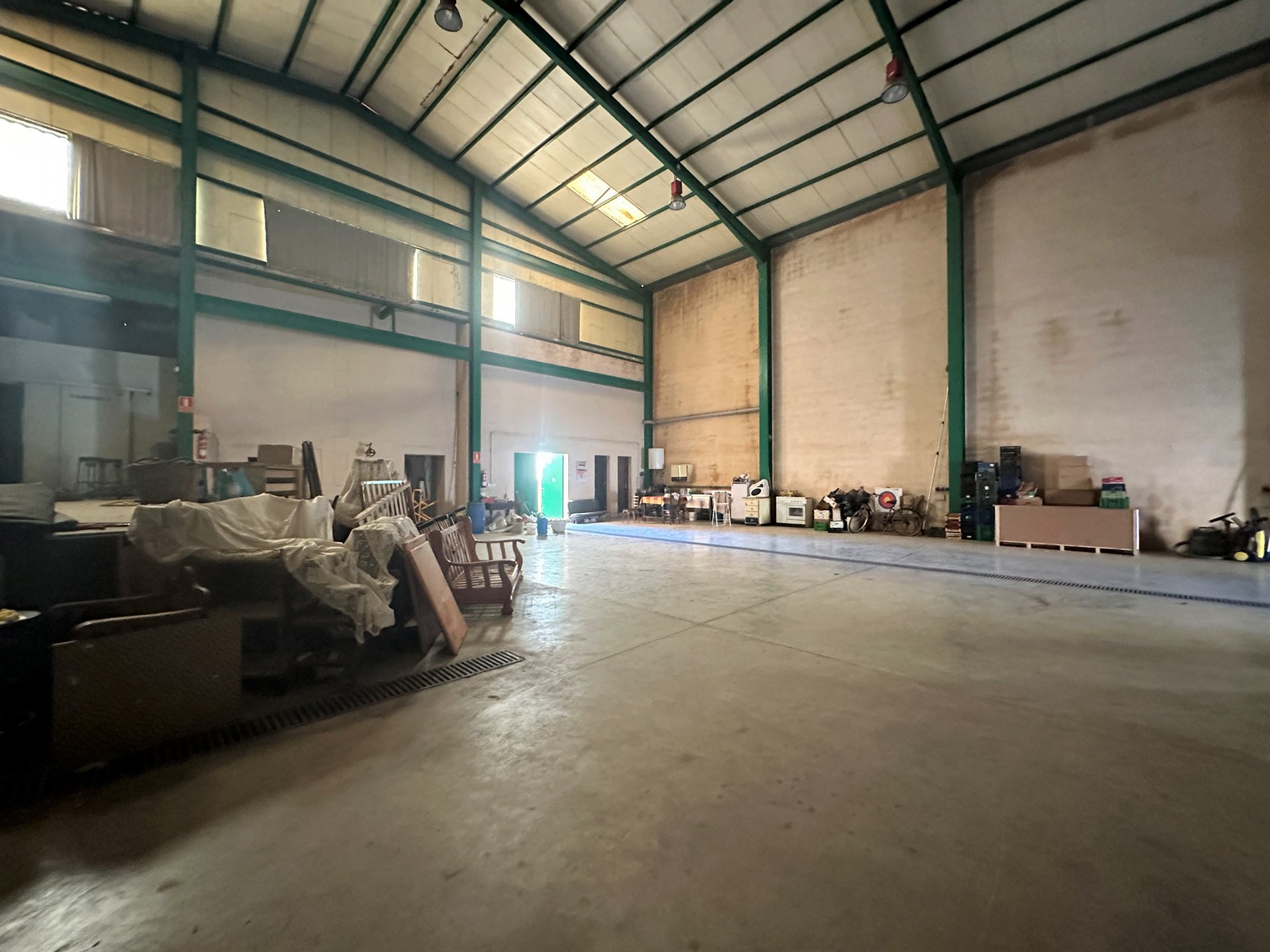 Gewerbeimmobilien in Sa Pobla, Mallorca, Spanien 727 m2 Nr. 69031