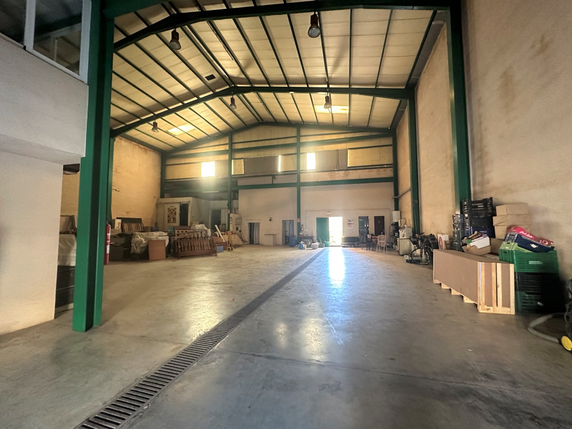 Gewerbeimmobilien in Sa Pobla, Mallorca, Spanien 727 m2 Nr. 69031