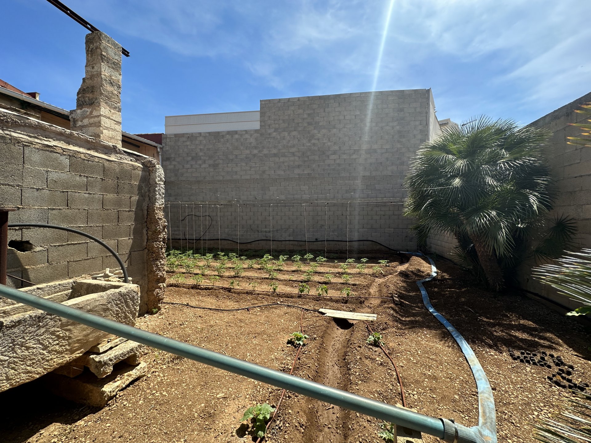 Gewerbeimmobilien in Sa Pobla, Mallorca, Spanien 727 m2 Nr. 69031